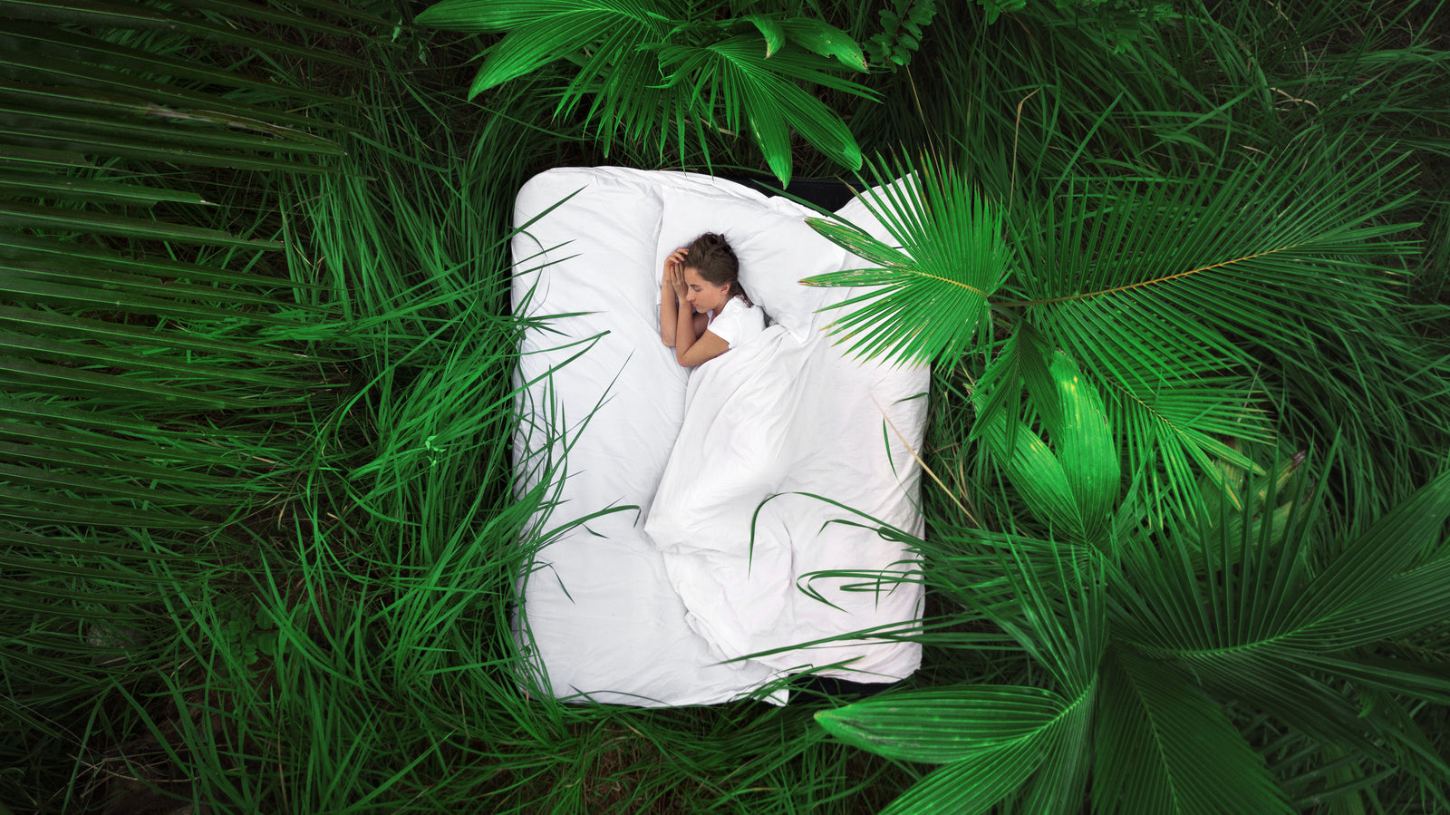 Deep Sleep